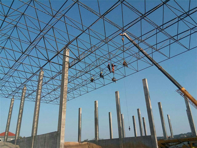湖南加气站钢结构网架案例10